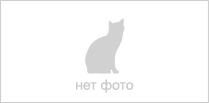 Серия диван-кровать "Стелла" 25 арт.